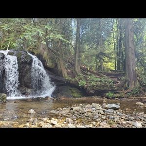 Meet your Posher, Jane